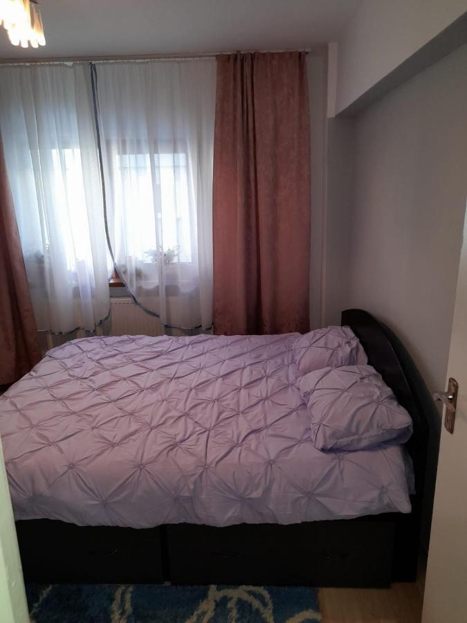 Apartament Straja - Lupeni  Exterior foto